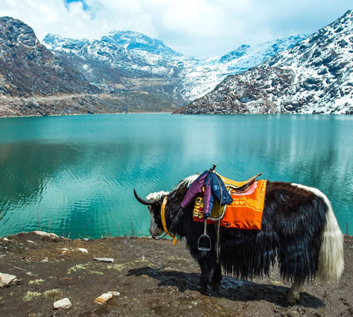 Discover Hidden Gems on a 3 Nights, 4 Days Retreat